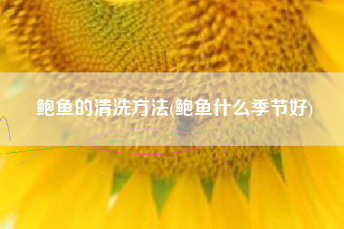 鲍鱼的清洗方法(鲍鱼什么季节好)