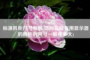 标准机柜尺寸参数(请问监控专用显示器的机柜的尺寸一般是多大)