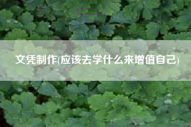 文凭制作(应该去学什么来增值自己)