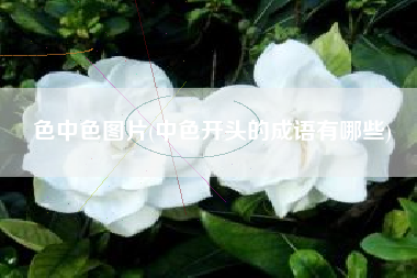 详细阅读:色中色图片(中色开头的成语有哪些) 色中色图片(中色开头的成语有哪些)