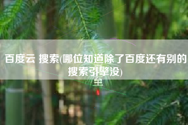 百度云 搜索(哪位知道除了百度还有别的搜索引擎没)