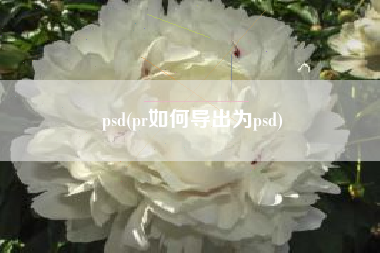 psd(pr如何导出为psd)