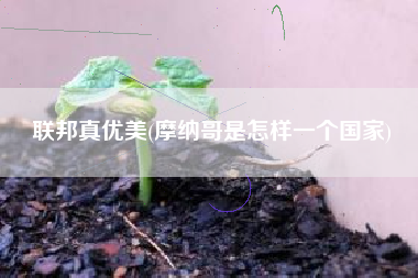 联邦真优美(摩纳哥是怎样一个国家)