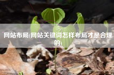 网站布局(网站关键词怎样布局才是合理的)