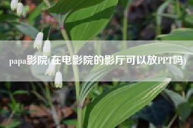 papa影院(在电影院的影厅可以放PPT吗)
