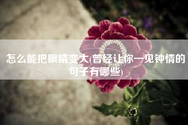 怎么能把眼睛变大(曾经让你一见钟情的句子有哪些)