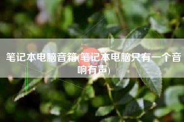 笔记本电脑音箱(笔记本电脑只有一个音响有声)