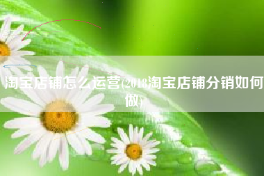 淘宝店铺怎么运营(2018淘宝店铺分销如何做)