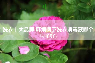洗衣十大品牌(麻烦问下洗衣消毒液哪个牌子好)