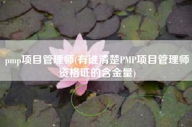 pmp项目管理师(有谁清楚PMP项目管理师资格证的含金量)
