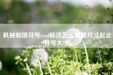 机械制图符号(cad标注怎么调整尺寸起止符号大小)