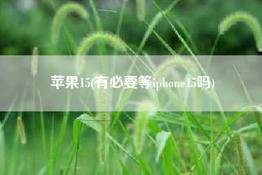 苹果15(有必要等iphone15吗)
