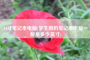 14寸笔记本电脑(学生用的笔记本电脑一般是多少英寸)