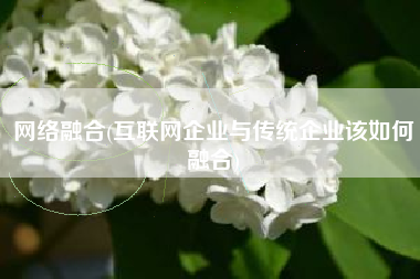 网络融合(互联网企业与传统企业该如何融合)