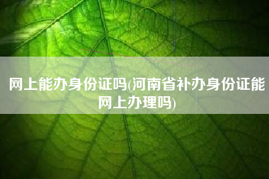 网上能办身份证吗(河南省补办身份证能网上办理吗)
