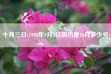 十月三日(1998年9月3日阴历是10月多少号)
