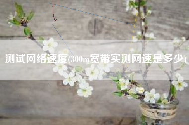 测试网络速度(300m宽带实测网速是多少)