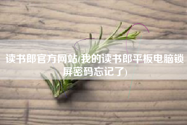 读书郎官方网站(我的读书郎平板电脑锁屏密码忘记了)