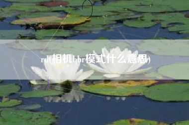 rd(相机hbr模式什么意思)