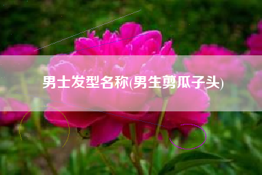 男士发型名称(男生剪瓜子头)