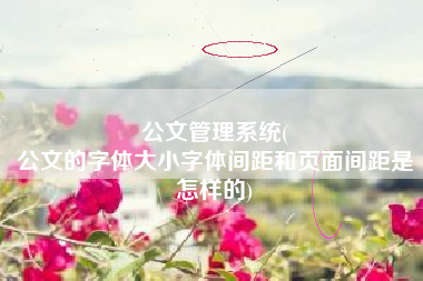 公文管理系统(
公文的字体大小字体间距和页面间距是怎样的) 公文管理系统(
公文的字体大小字体间距和页面间距是怎样的)