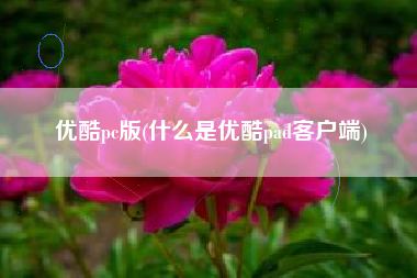 优酷pc版(什么是优酷pad客户端)