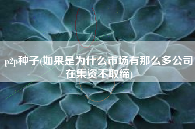 p2p种子(如果是为什么市场有那么多公司在集资不取缔)
