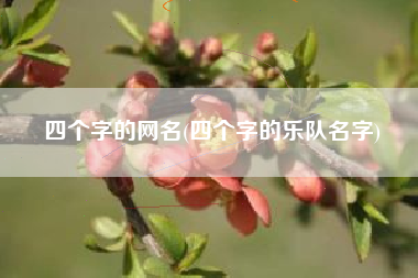 四个字的网名(四个字的乐队名字)