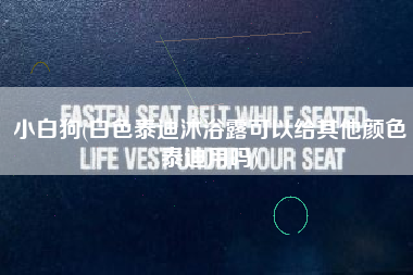 小白狗(白色泰迪沐浴露可以给其他颜色泰迪用吗)
