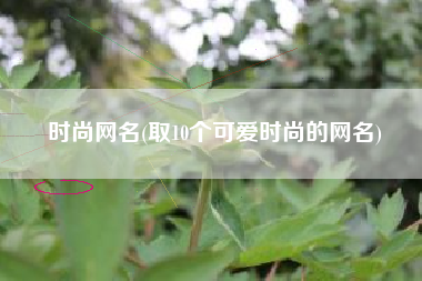 时尚网名(取10个可爱时尚的网名)