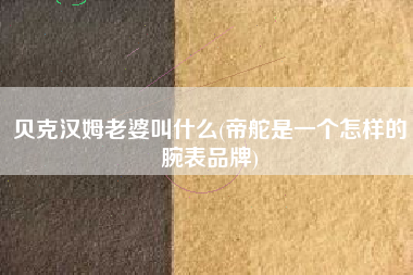 贝克汉姆老婆叫什么(帝舵是一个怎样的腕表品牌)