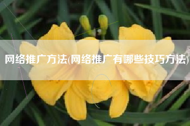 网络推广方法(网络推广有哪些技巧方法)