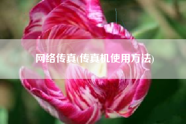 网络传真(传真机使用方法)