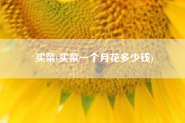 买菜(买菜一个月花多少钱)