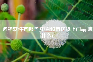购物软件有哪些(中百超市送货上门app叫什么)