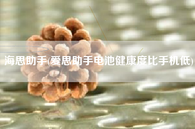 海思助手(爱思助手电池健康度比手机低)