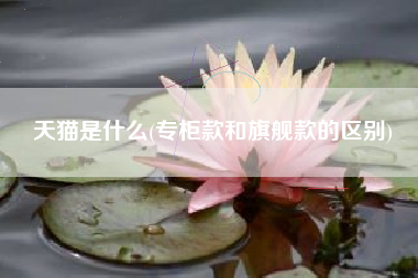 天猫是什么(专柜款和旗舰款的区别)