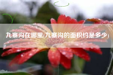 九寨沟在哪里(九寨沟的面积约是多少)
