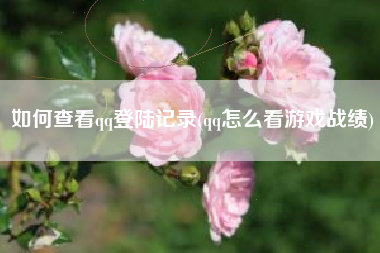 如何查看qq登陆记录(qq怎么看游戏战绩)