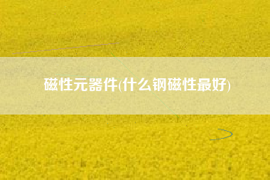 磁性元器件(什么钢磁性最好)