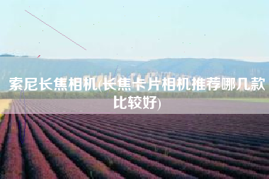 索尼长焦相机(长焦卡片相机推荐哪几款比较好)