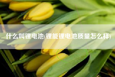 什么叫锂电池(锂能锂电池质量怎么样)
