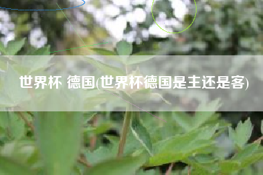 世界杯 德国(世界杯德国是主还是客)