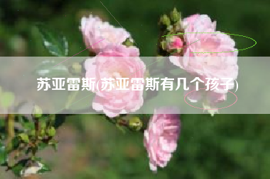 苏亚雷斯(苏亚雷斯有几个孩子)