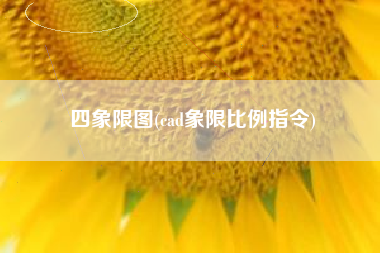 四象限图(cad象限比例指令)