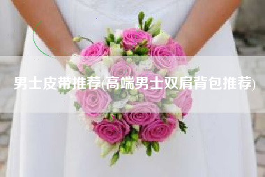 男士皮带推荐(高端男士双肩背包推荐)