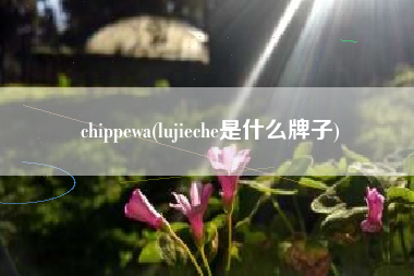 chippewa(lujieche是什么牌子)