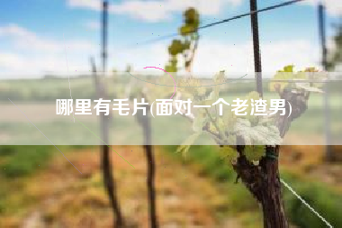 哪里有毛片(面对一个老渣男)