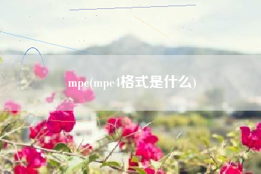 mpe(mpe4格式是什么)