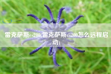 雷克萨斯es200(雷克萨斯es200怎么远程启动)